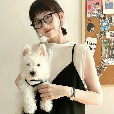 孤独之岛海报